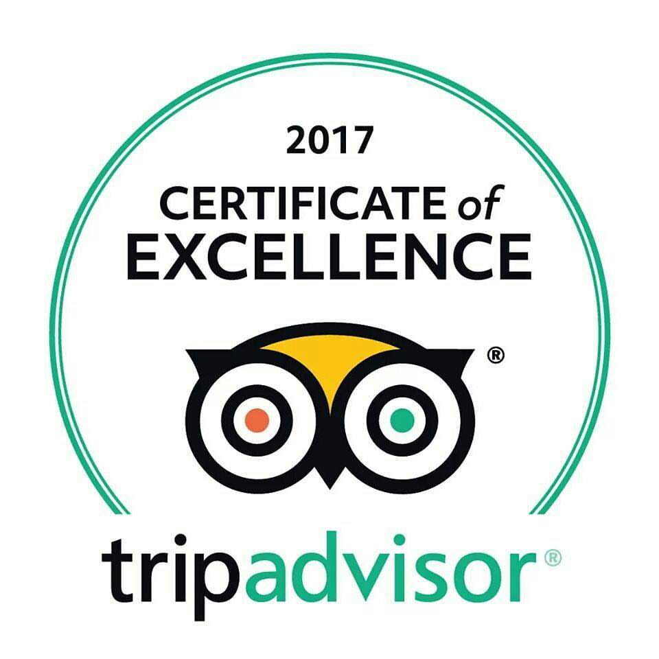 Tripadvisor Guest Review